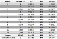 Intervall 5x1000 20.07.09
