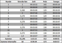 Intervall 5x2000 24.08.09