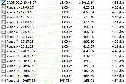 Tempodauerlauf 03.03.10