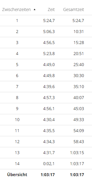 Lauf 13.03.17 Zwischenzeiten